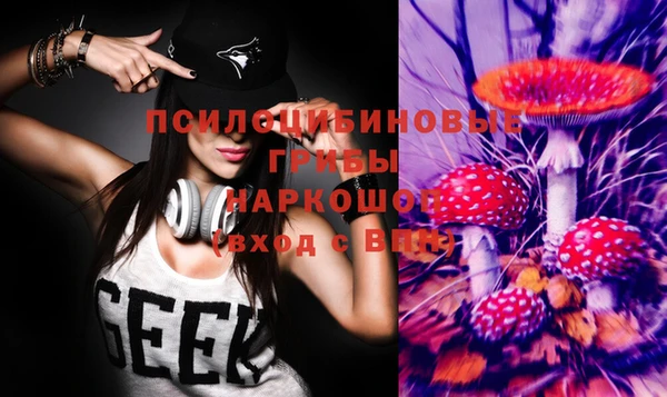 бошки Володарск