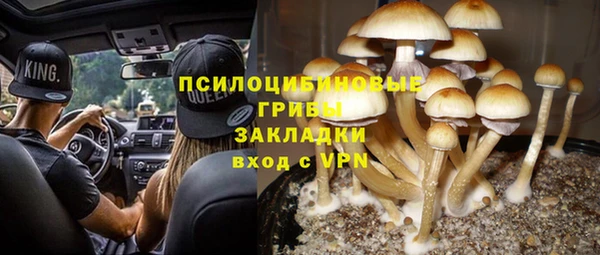 бошки Володарск